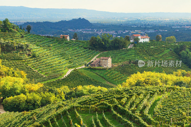 Valdobbiadene -秋季普洛赛科山